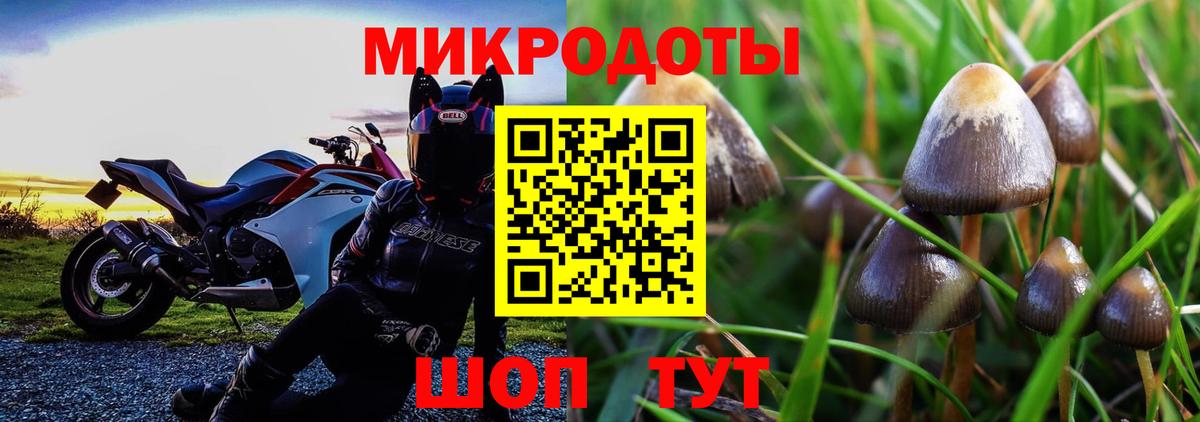 Галлюциногенные грибы мухоморы  Вход с VPN  Георгиевск 